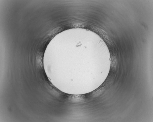 X0000115360622200912151359