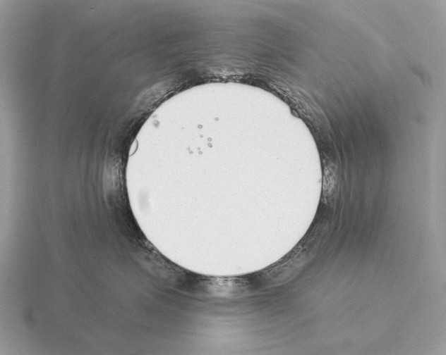 X0000115360623200912151359