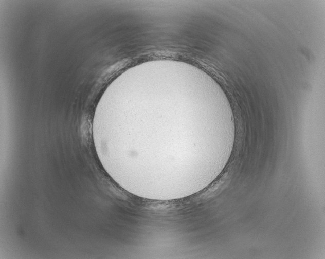 X0000115360624200912151359