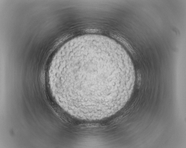 X0000115360626200912151358