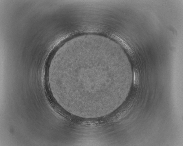 X0000115360627200912151358