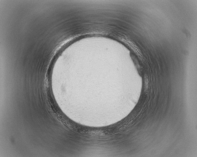 X0000115360628200912151358
