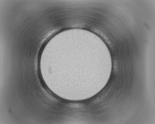 X0000115360629200912151358