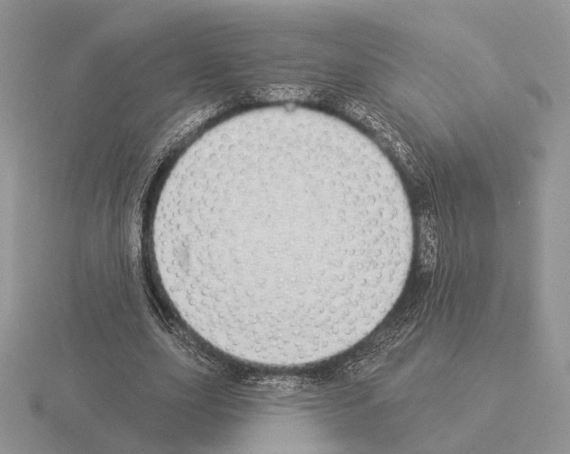 X0000115360631200912151358
