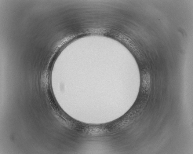 X0000115360632200912151358