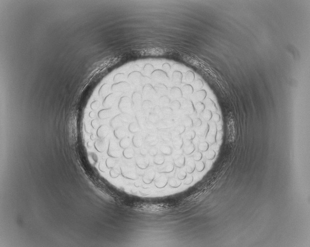 X0000115360638200912151358