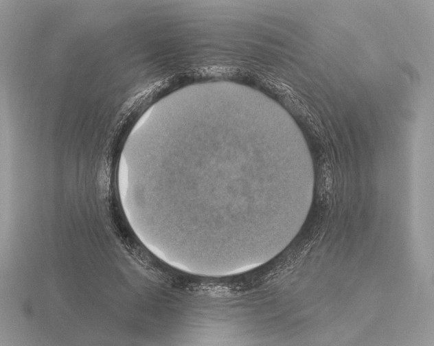 X0000115360640200912151358