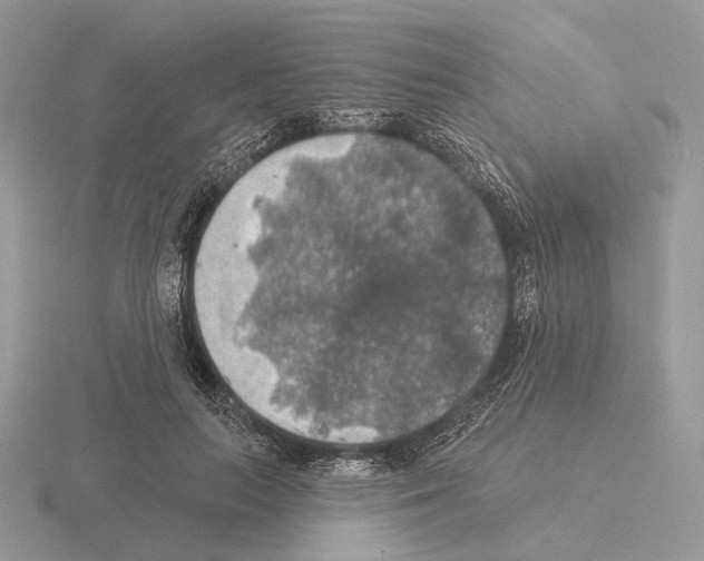 X0000115360647200912151358