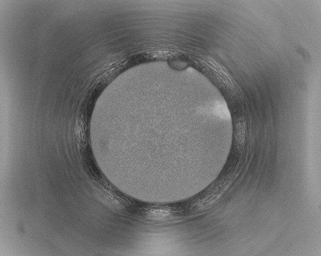 X0000115360653200912151358