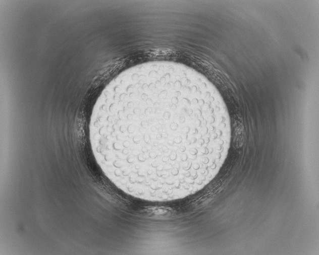 X0000115360654200912151358