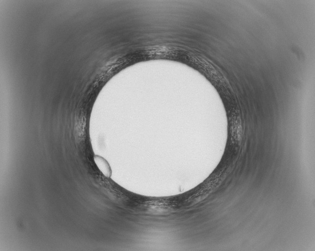 X0000115360660200912151358