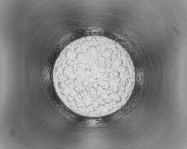 X0000115360662200912151358