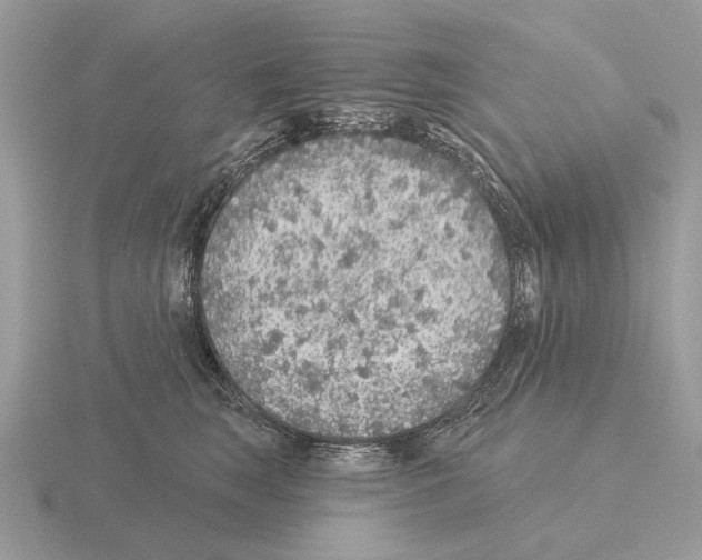 X0000115360663200912151358