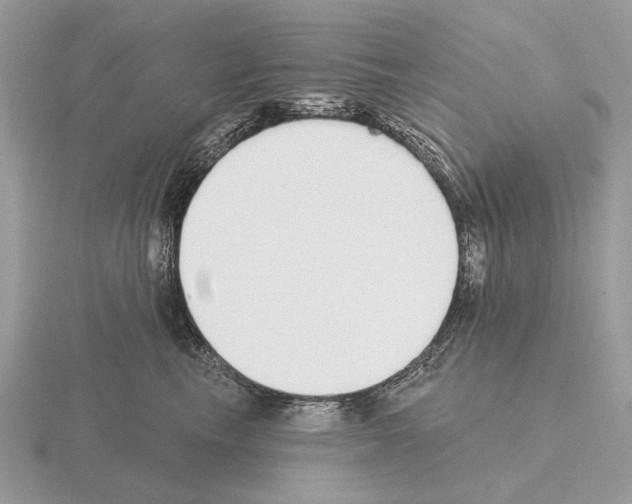 X0000115360665200912151359