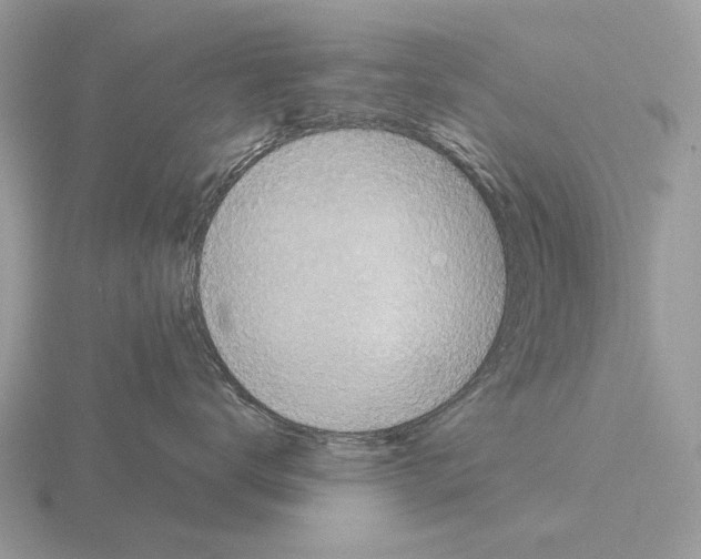 X0000115360672200912151359