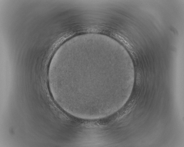 X0000115360673200912151358