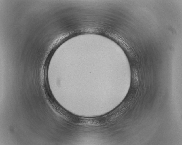 X0000115360678200912151358