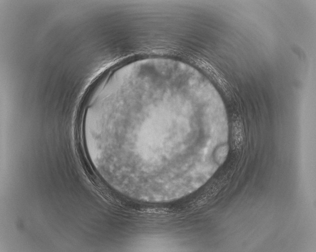 X0000115360680200912151358