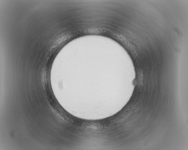X0000115360683200912151358