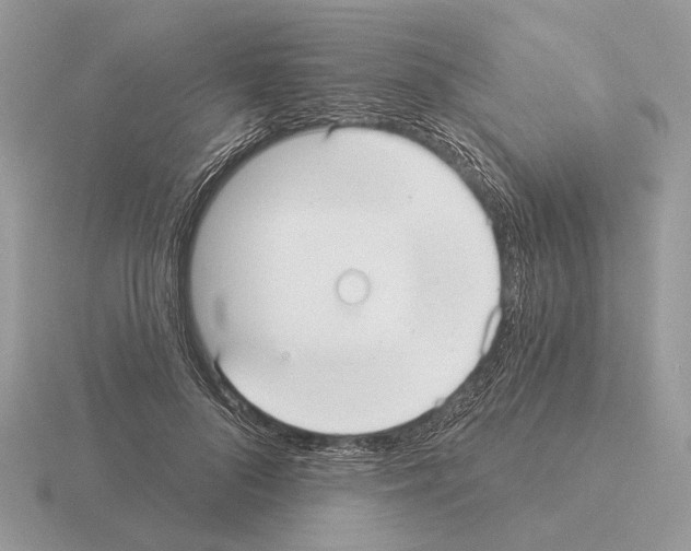 X0000115360696200912151358