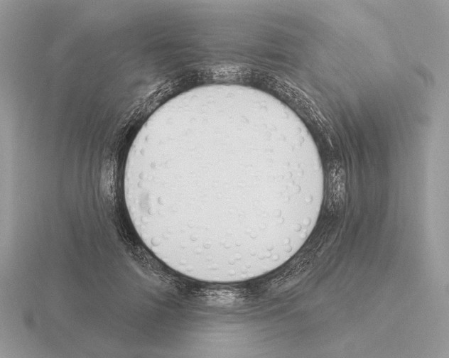 X0000115360698200912151358