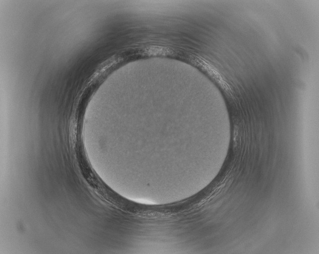 X0000115360722200912151357