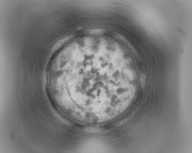 X0000115360725200912151357