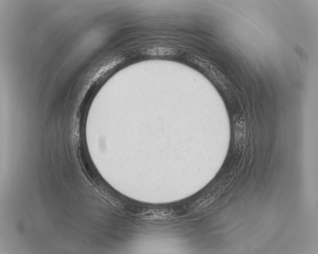 X0000115360727200912151357