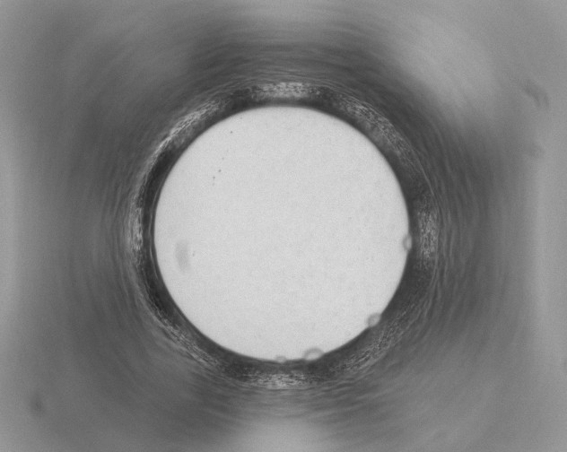 X0000115360731200912151357