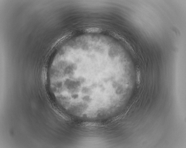 X0000115360733200912151357