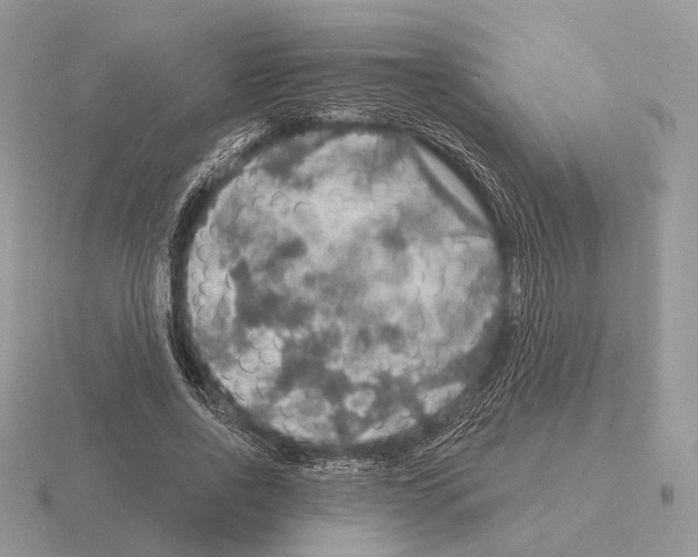 X0000115360734200912151357