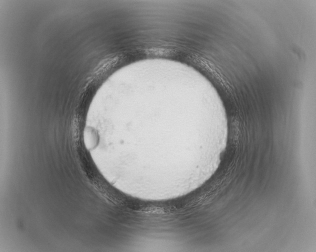 X0000115360738200912151357