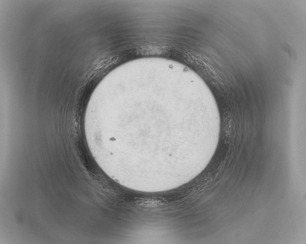 X0000115360743200912151357