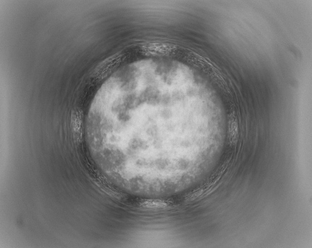 X0000115360749200912151357