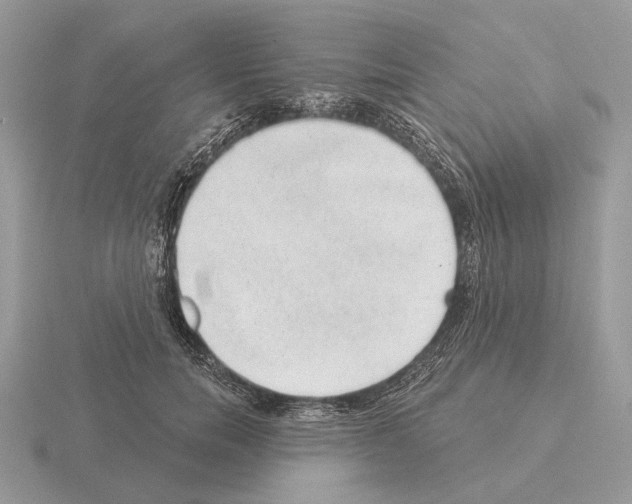 X0000115360750200912151357