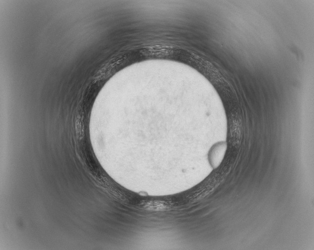 X0000115360751200912151357
