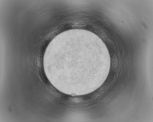 X0000115360755200912151357
