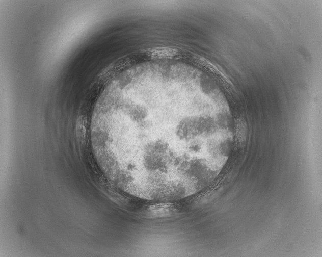 X0000115360761200912151357