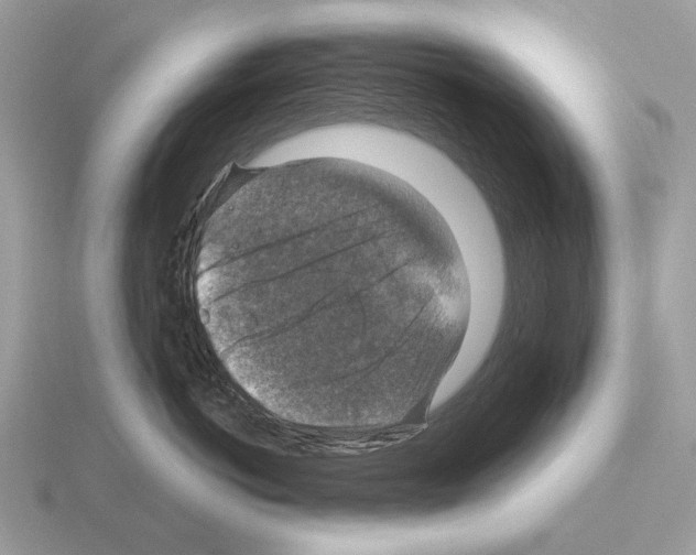 X0000115360766200912151357