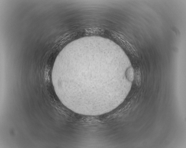 X0000115360770200912151357