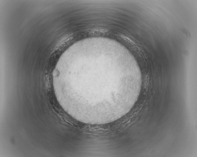 X0000115360774200912151357