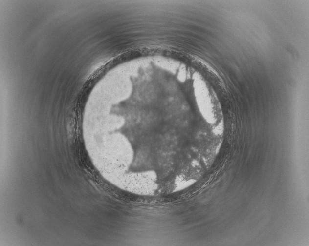 X0000115360775200912151357