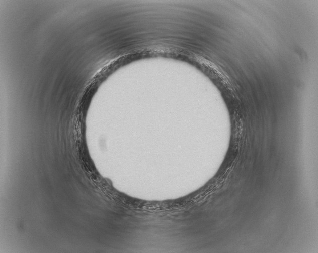 X0000115360776200912151357