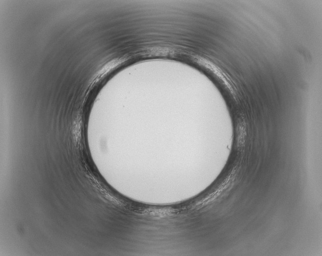 X0000115360778200912151357