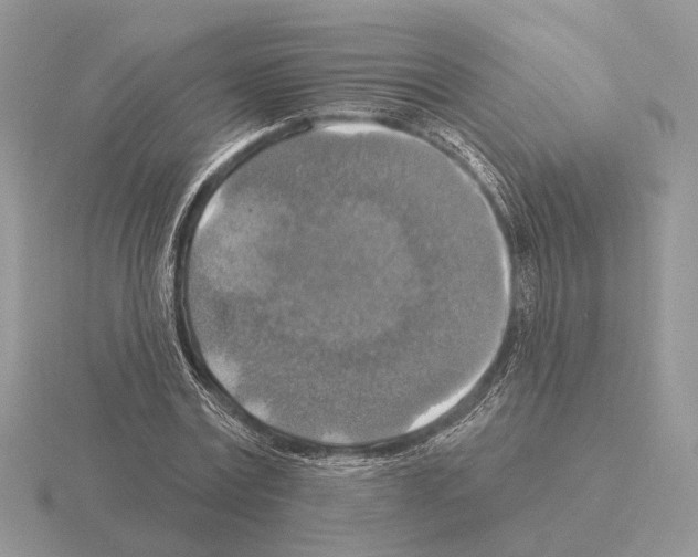 X0000115360779200912151357