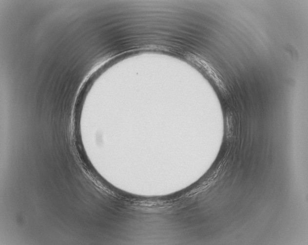 X0000115360780200912151357