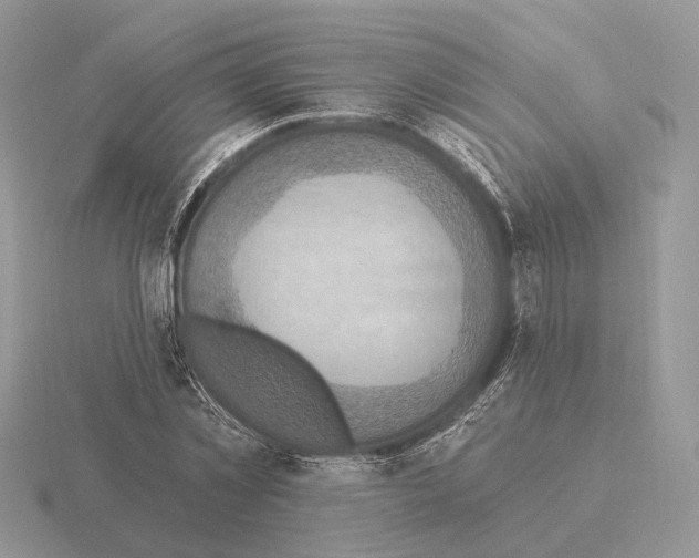 X0000115360781200912151357
