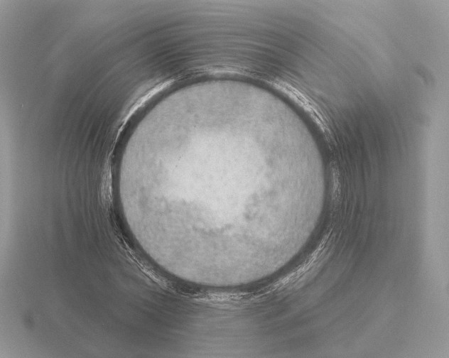 X0000115360782200912151357