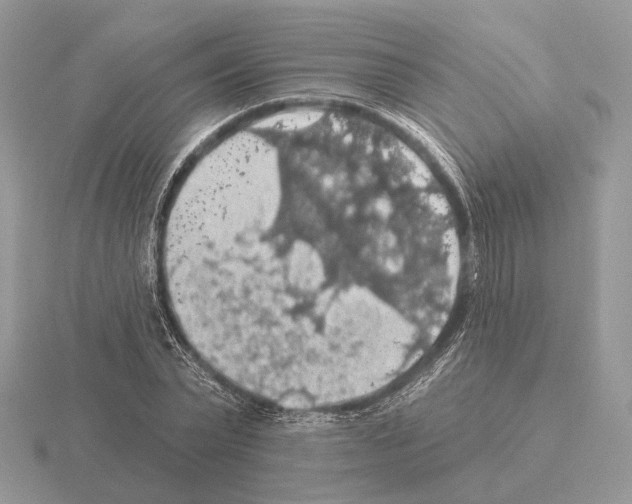 X0000115360783200912151357
