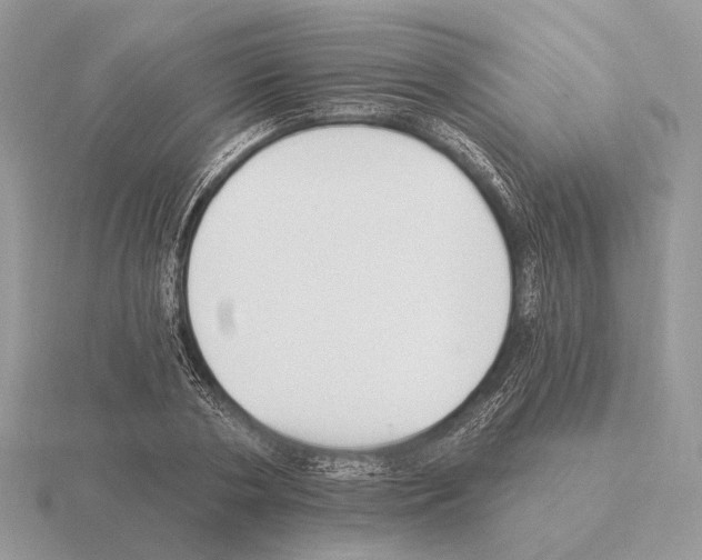X0000115360786200912151357
